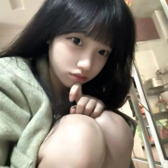 小淘气尼古拉的假期